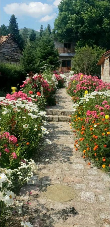 Bujtina Shkodrani Bed & Breakfast Voskopoje Bagian luar foto